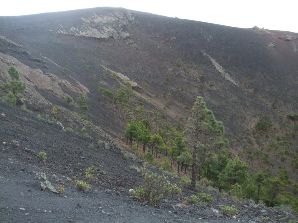 Кратер вулкана San Miguel
